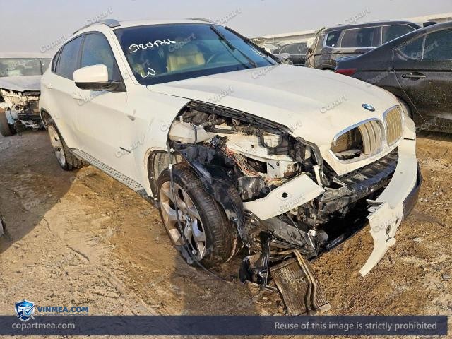 2012 BMW X6 — Lot 57804266 auction photo