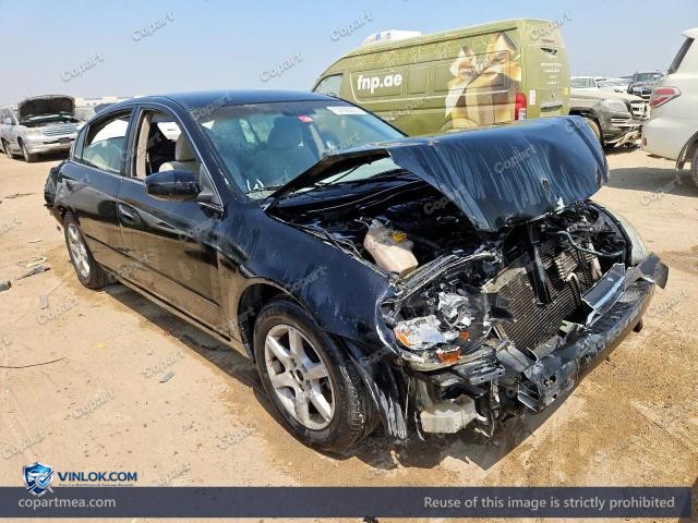 Auction photo