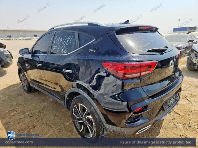 Auction photo