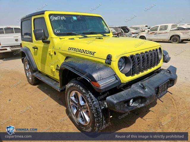 Auction photo