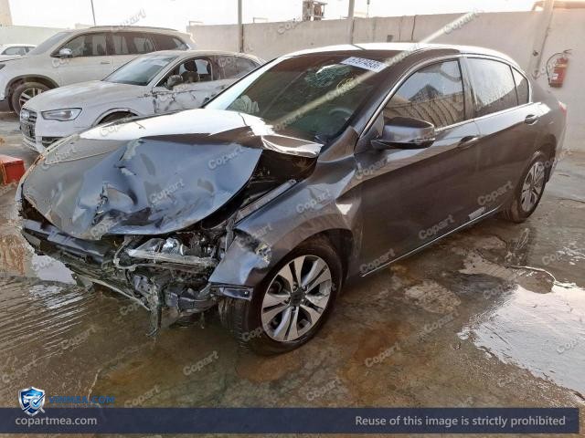 Auction photo