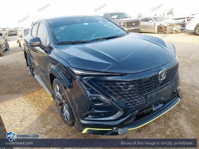 2024 CHAN UNI-T — Lot 57977676 auction photo