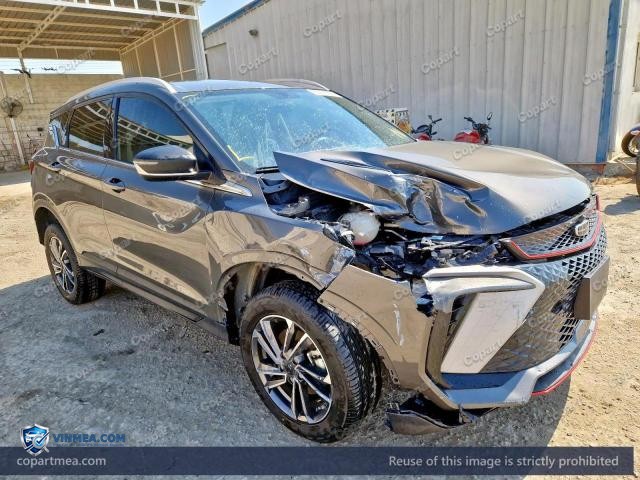 2025 GEEA COOLRAY — Lot 57978566 auction photo