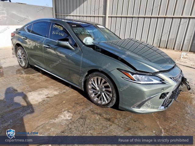 Auction photo