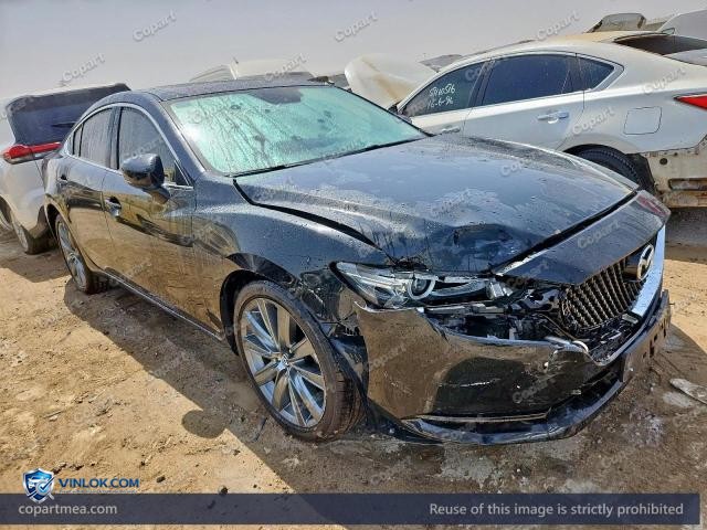 Auction photo