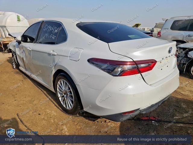 Auction photo
