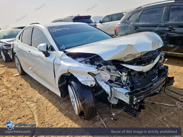Auction photo
