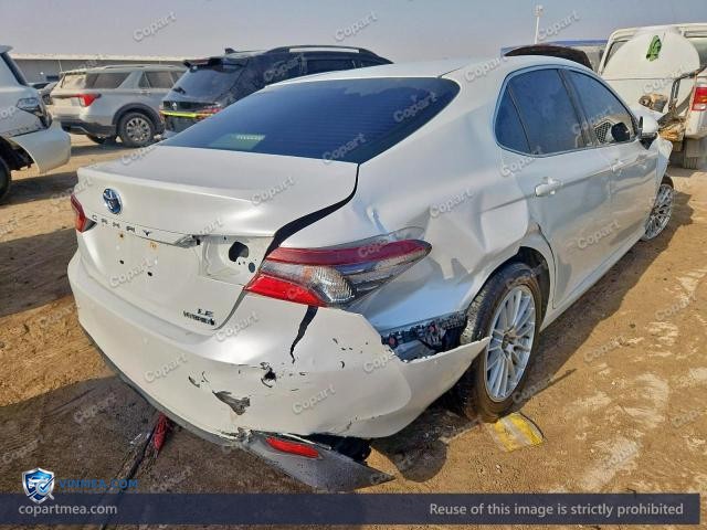Auction photo
