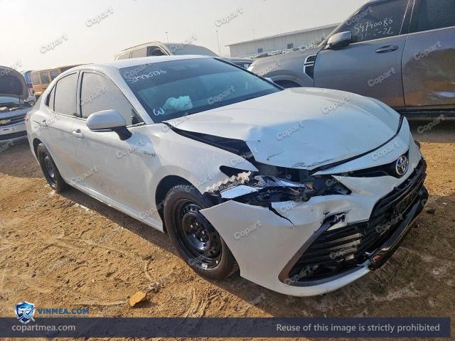 Auction photo