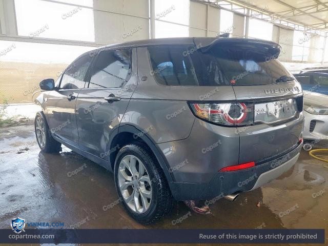Auction photo