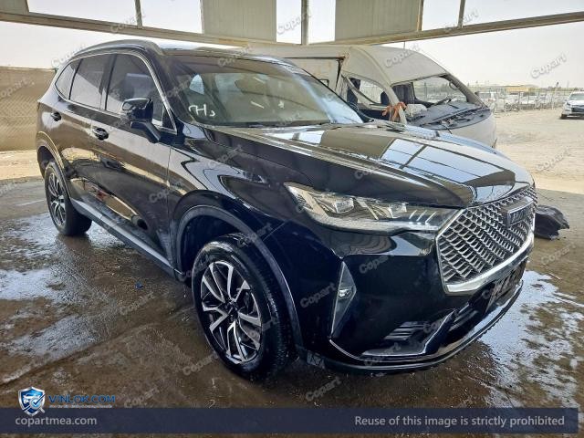 2023 HAVA H6 — Lot 58162366 auction photo