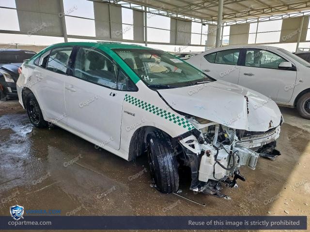 Auction photo