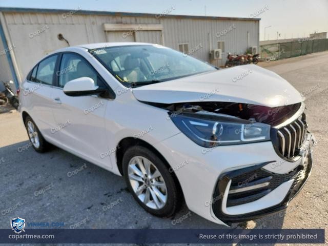 2024 CHER ARRIZO — Lot 58163146 auction photo