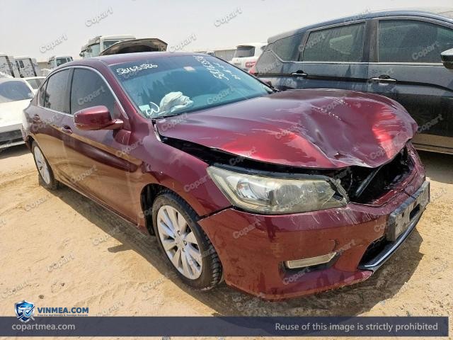 Auction photo
