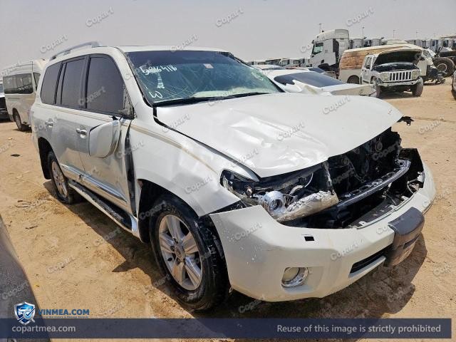 Auction photo