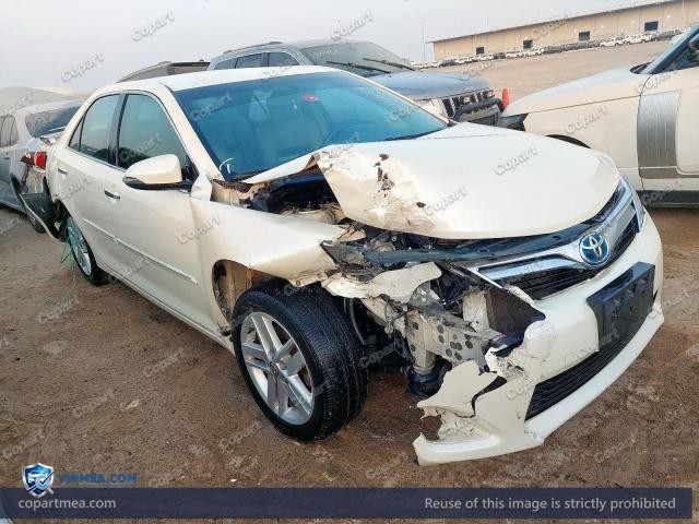 Auction photo