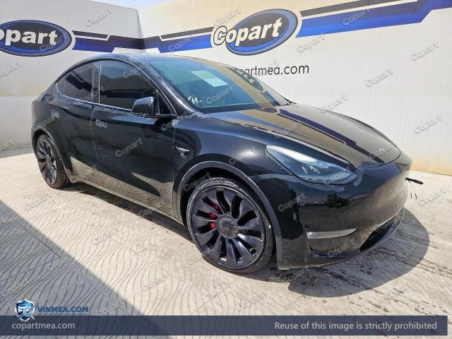 2023 TESL MODEL — Lot 58168456 auction photo