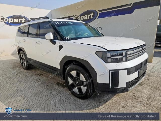 2025 HYUNDAI SANTA — Lot 58168606 auction photo