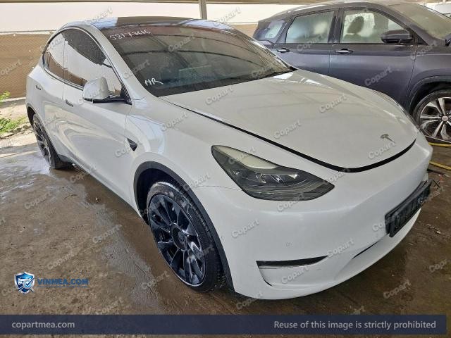 2022 TESL MODEL — Lot 58173666 auction photo