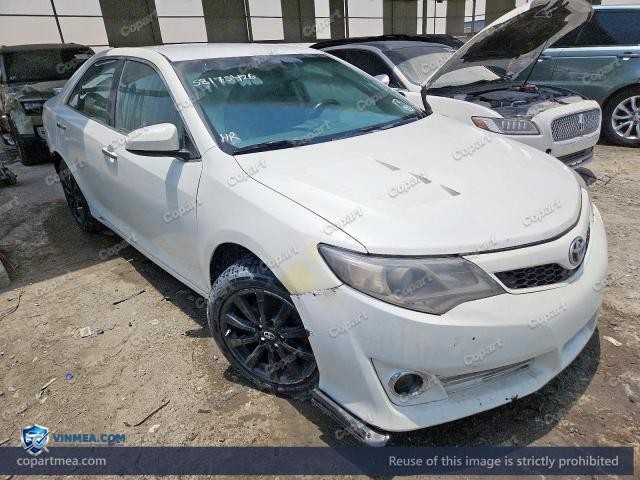 Auction photo