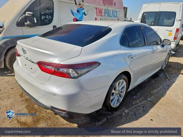Auction photo