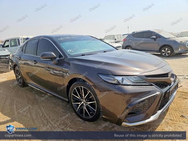 Auction photo