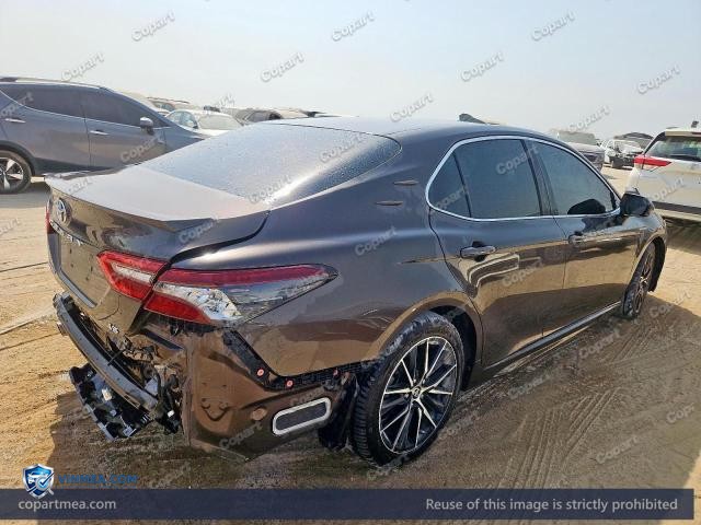 Auction photo