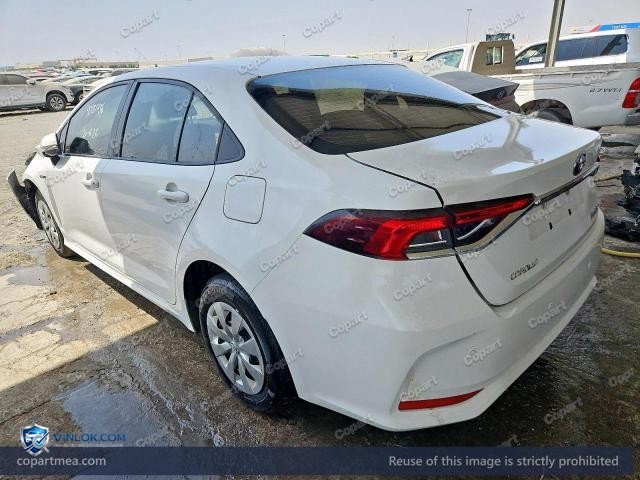 Auction photo