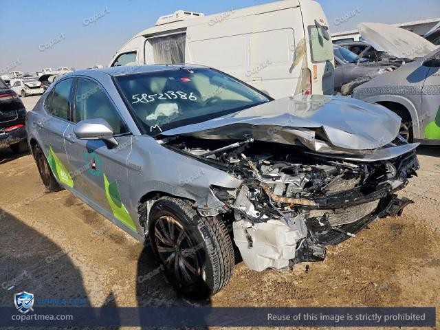 Auction photo