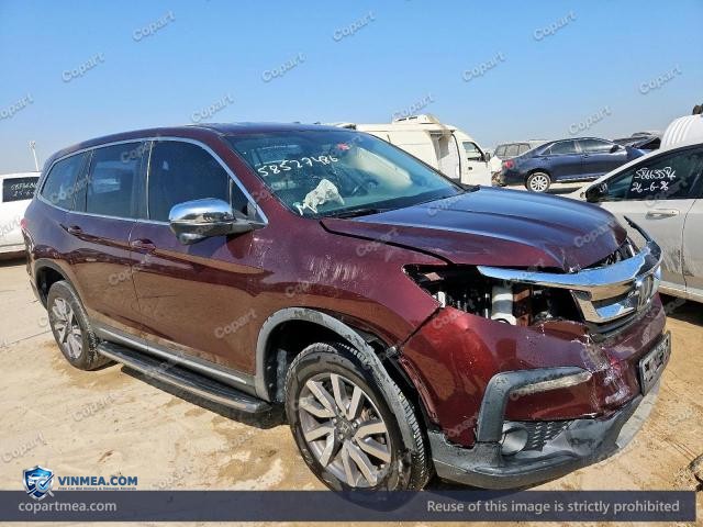 Auction photo