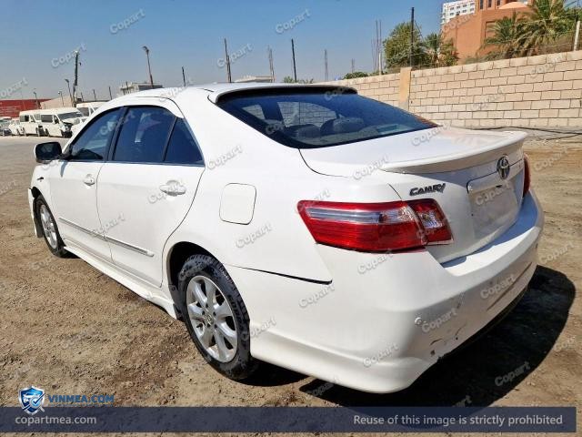 Auction photo