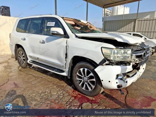 Auction photo