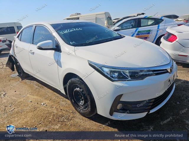 Auction photo