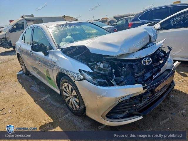 Auction photo
