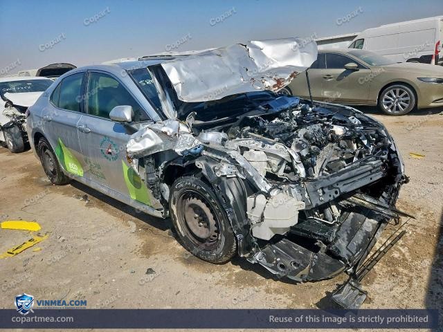 Auction photo