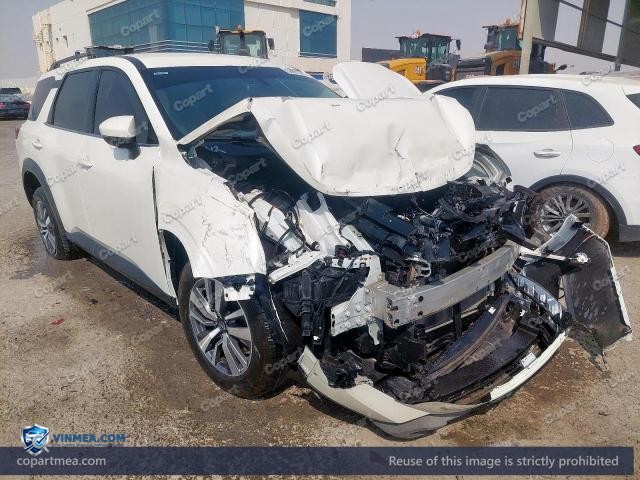 Auction photo