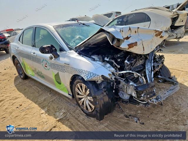 Auction photo