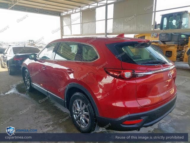 Auction photo