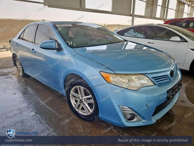 Auction photo