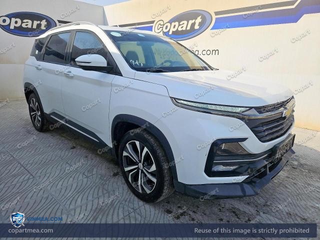 2025 CHEVROLET CAPTIVA — Lot 58670366 auction photo