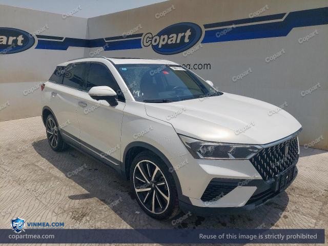 2022 BEST T — Lot 58671416 auction photo