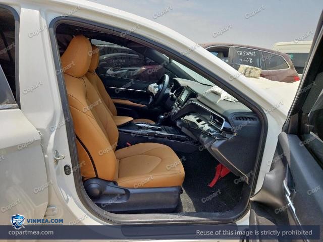Auction photo