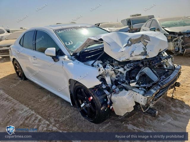 Auction photo