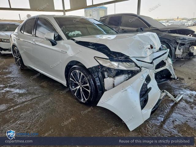 Auction photo