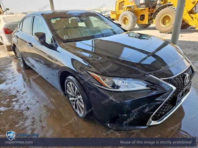 Auction photo