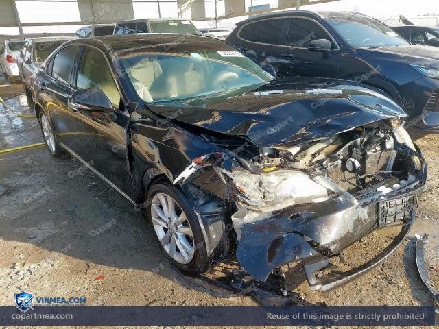 Auction photo