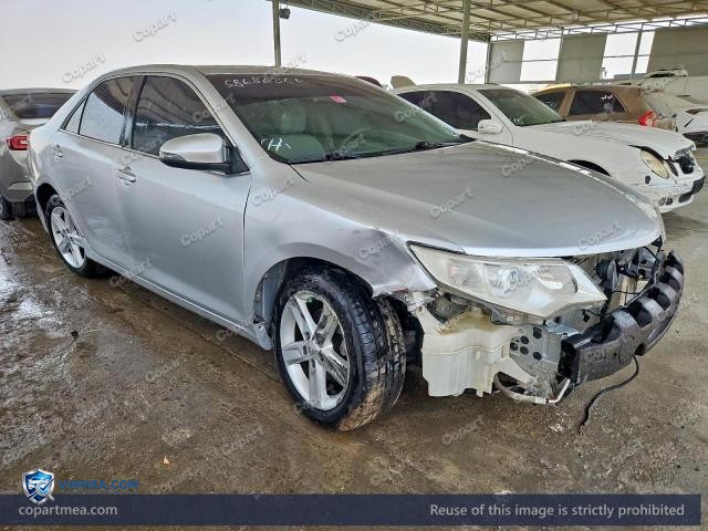 Auction photo