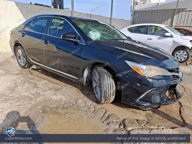 Auction photo