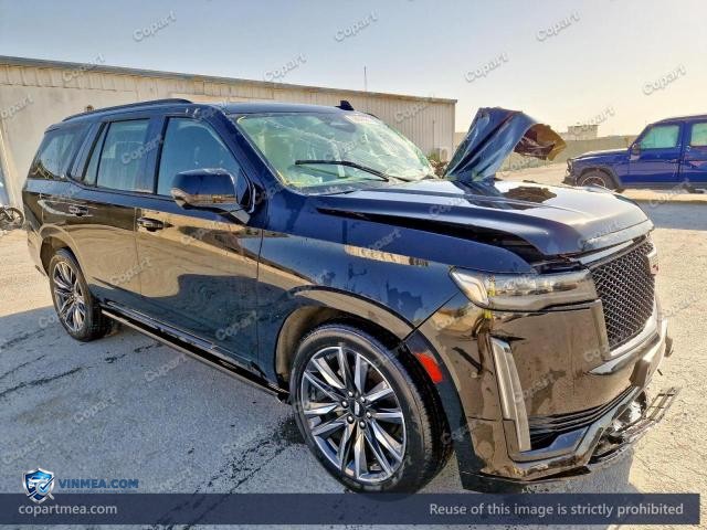 2024 CADILLAC ESCALADE — Lot 58849056 auction photo