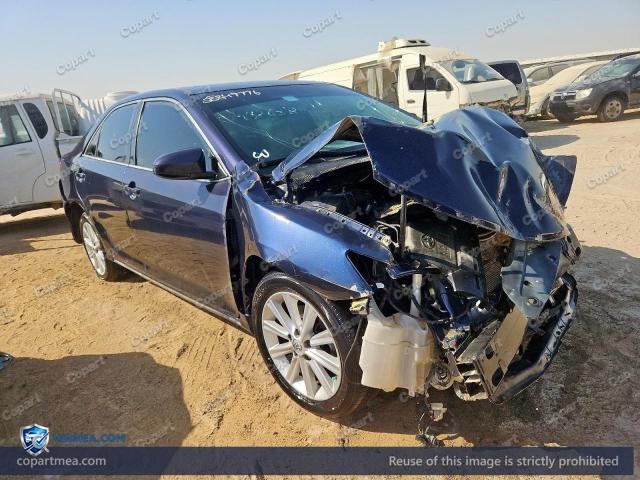 Auction photo